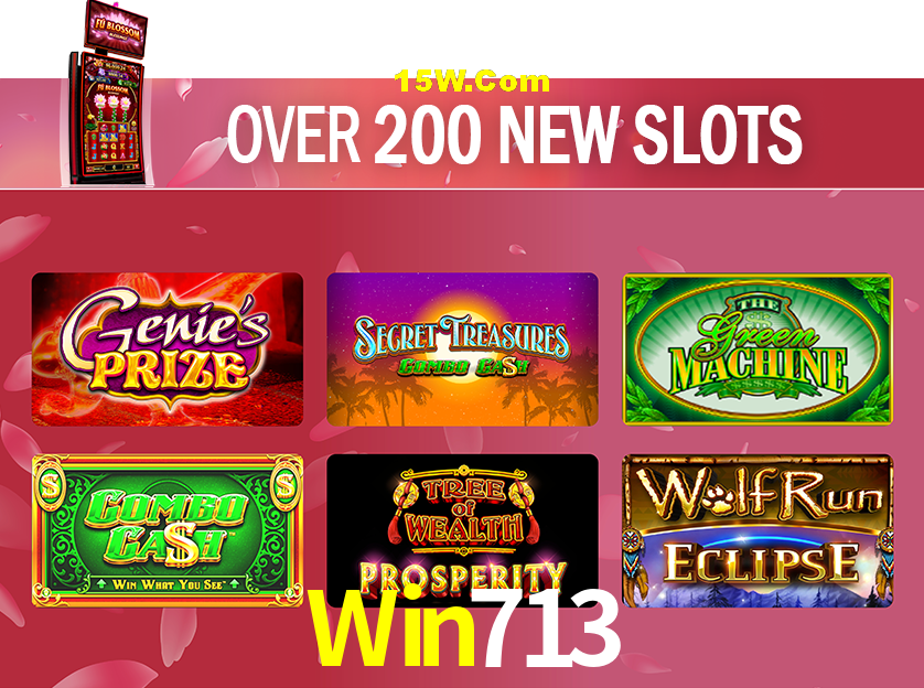 Bonus Features Win713