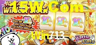 Win713